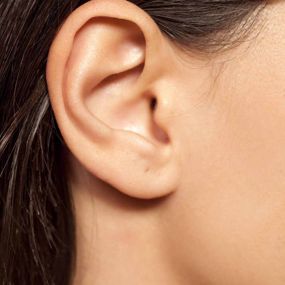 Ear